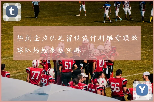 热刺全力以赴留住武什科维奇顶级球队纷纷表达兴趣